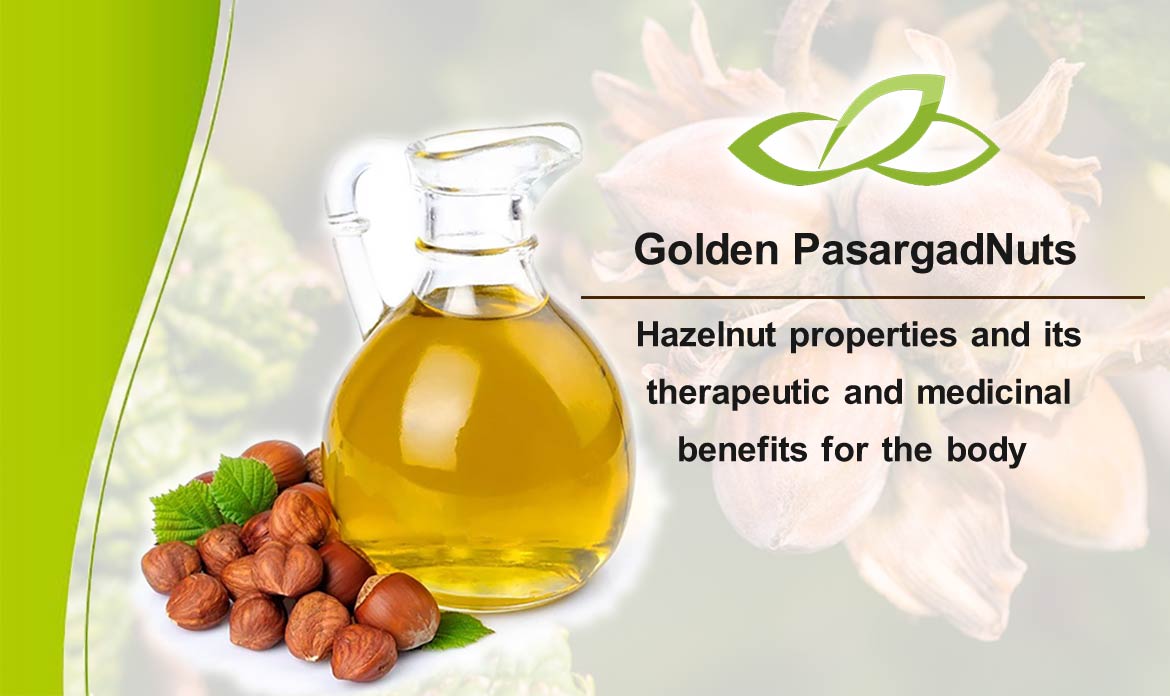 Hazelnut properties and its therapeutic and medicinal benefits for the body
