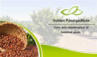 Care and maintenance of hazelnut pests